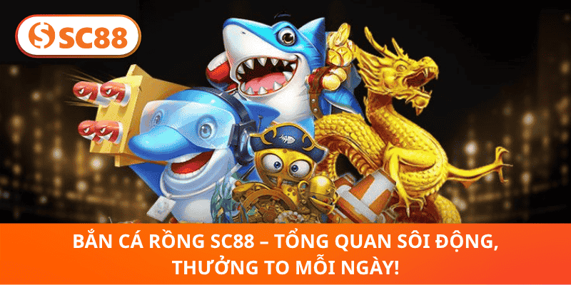 Bắn Cá Rồng SC88 – Tổng Quan Sôi Động, Thưởng To Mỗi Ngày!